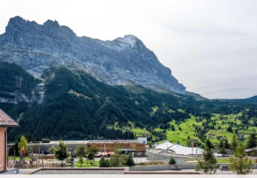 Eiger Panoramica - Aare Jungfrau Ag Apartment กรินเดลวัลด์ ภายนอก รูปภาพ